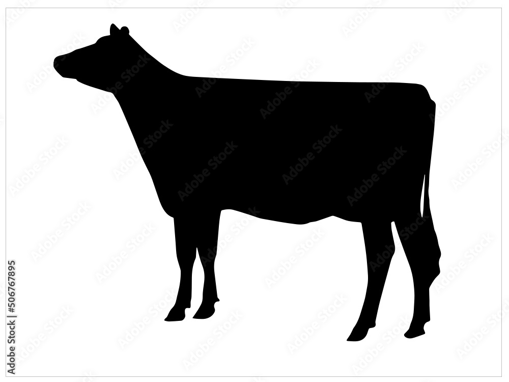 Cow Stock Vector Images