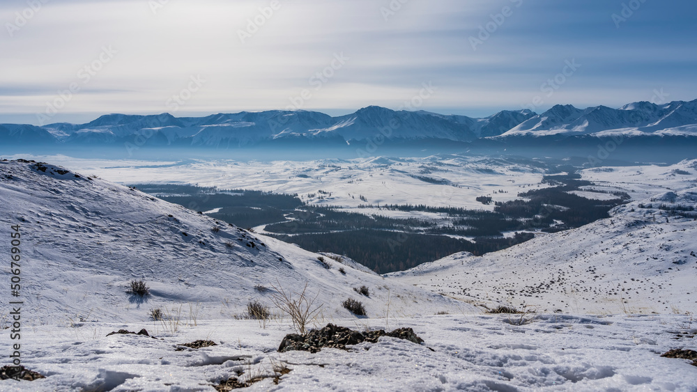 View from a high-altitude plateau to an endless snow-covered valley. Below is a forest, a winding river. Mountains against the sky. In the foreground - dry grass, stones on a snow-covered slope. Altai View from a high-altitude plateau to an endless snow-covered valley. Below is a forest, a winding river. Mountains against the sky. In the foreground - dry grass, stones on a snow-covered slope. Altai