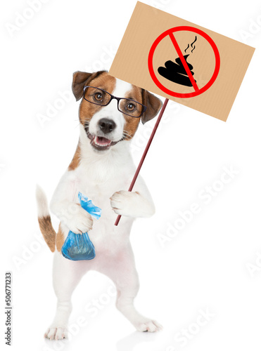 Jack russell terrier puppy wearing eyeglasses holds sign "no dog poop" and plastic bag. Concept cleaning up dog droppings. isolated on white background © Ermolaev Alexandr