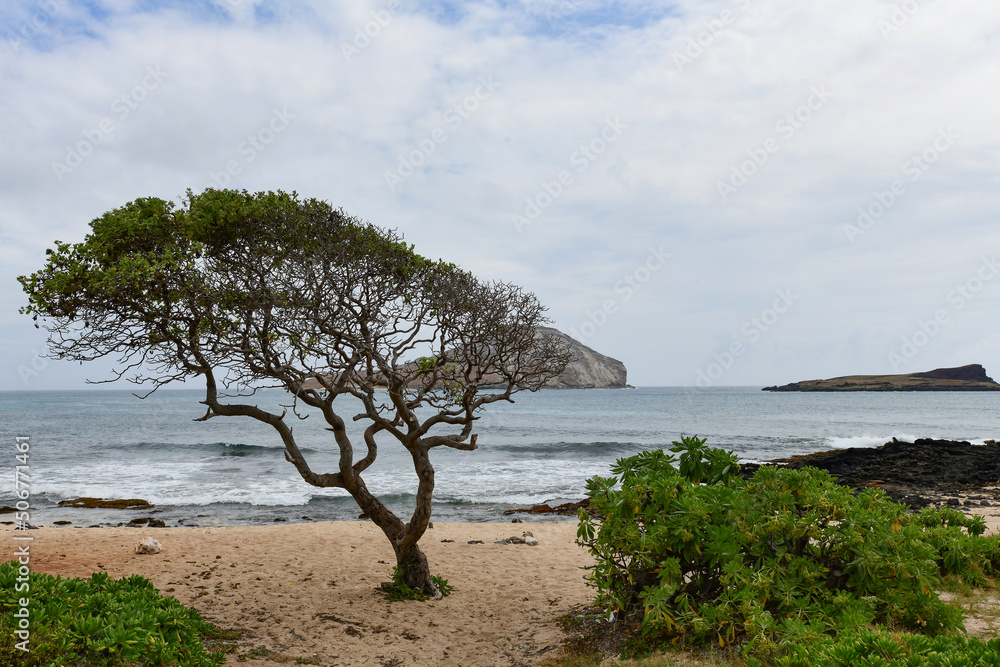 Offshore islands Manana and Kaohikaipu, both state seabird sanctuaries, are seen from Makapu'u Beach Park on the Ka'iwi Shoreline on Oahu, Hawaii.