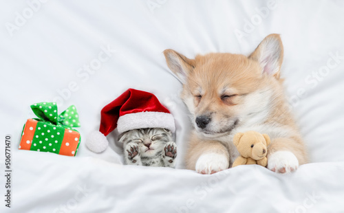 Cute kitten and Corgi puppy wearing santa hats sleep together under a white blanket on a bed at home. Top down view