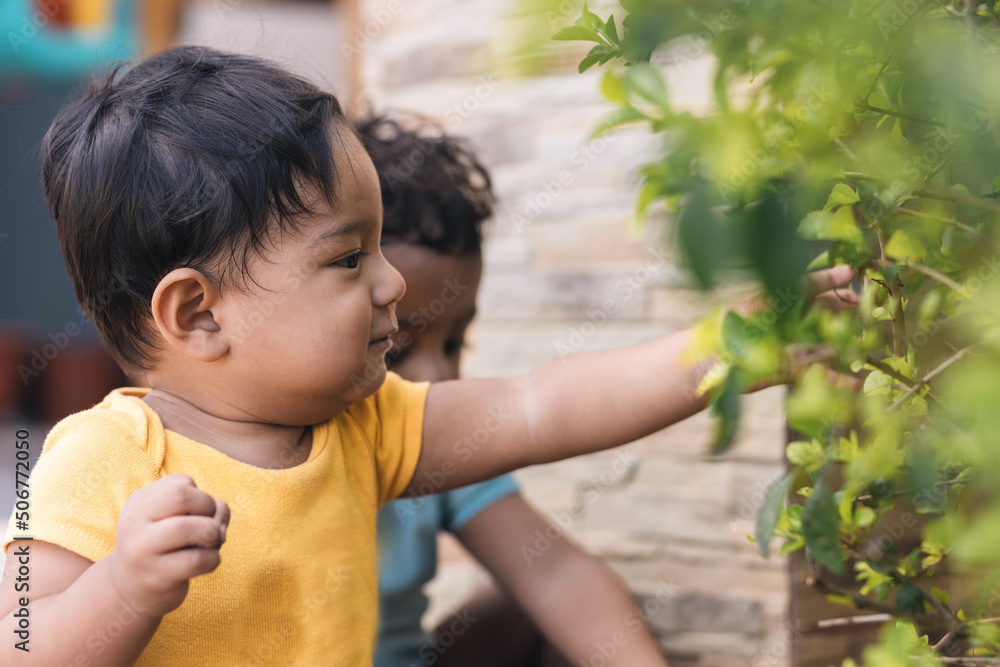 two children playing with the bushes in the garden two children playing with the bushes in the garden