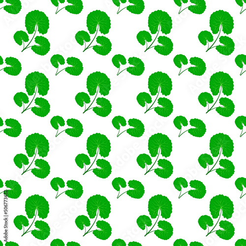 Centella asiatica seamless pattern vector illustration. Gotu kola repeated texture. Fresh green leaf for organic cosmetics  natural products  food  eco design. Asian pennywort endless background.