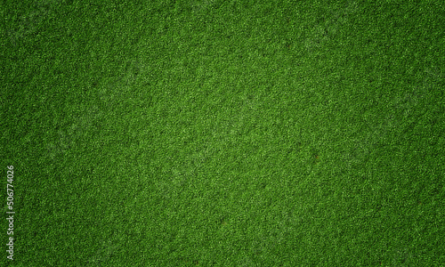 Top view of natural fresh green grassy background. Nature and wallpaper concept. 3D illustration rendering photo
