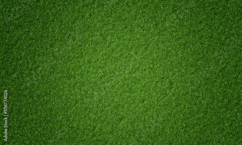 Top view of natural fresh green grassy background. Nature and wallpaper concept. 3D illustration rendering