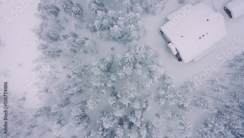 Top down drone aerial pull up of snowy pine forest with cabin, taiga tundra Finland neighborhood photo