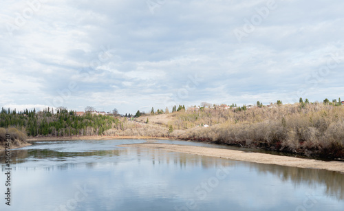river in the forest