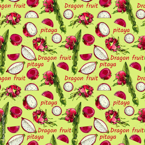 719_dragon fruit plant_dragon fruit Dragon Fruit, Hylocereus, Pitahaya, Pitahaya, Hand drawn vector illustration of pitahaya stalk, with fruit isolated on white background, set, whole, half, fruit sli