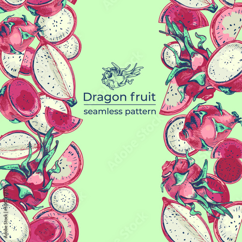 723_dragon fruit plant_dragon fruit seamless vertical background with exotic tropical fruit, cactus fruit, whole and slice of pitaya, Dragon Fruit (Hylocereus, Pitahaya, Pitahaya, hand drawn illustrat