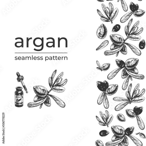 727_аrgan Argan fruit icon, argan tree branch with seeds, oil for skincare and cosmetics vector botanical illustration, food and cosmetics packaging design elements, organic oil jar, pipette, seamless