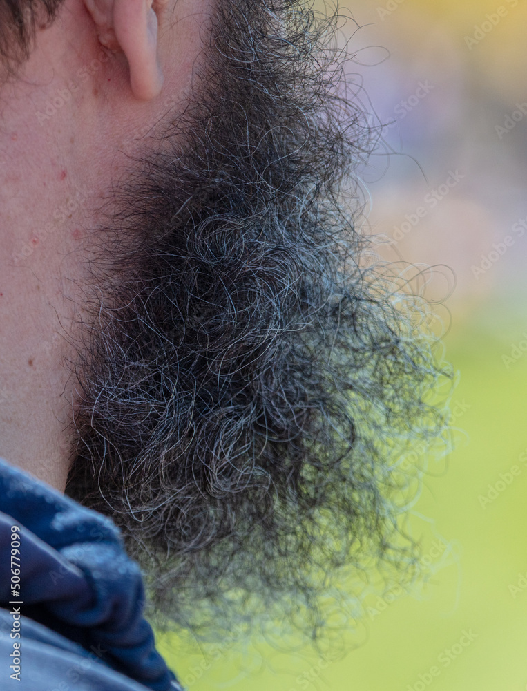 Gray hair on a black beard of a man. Gray hair on a black beard of a man.