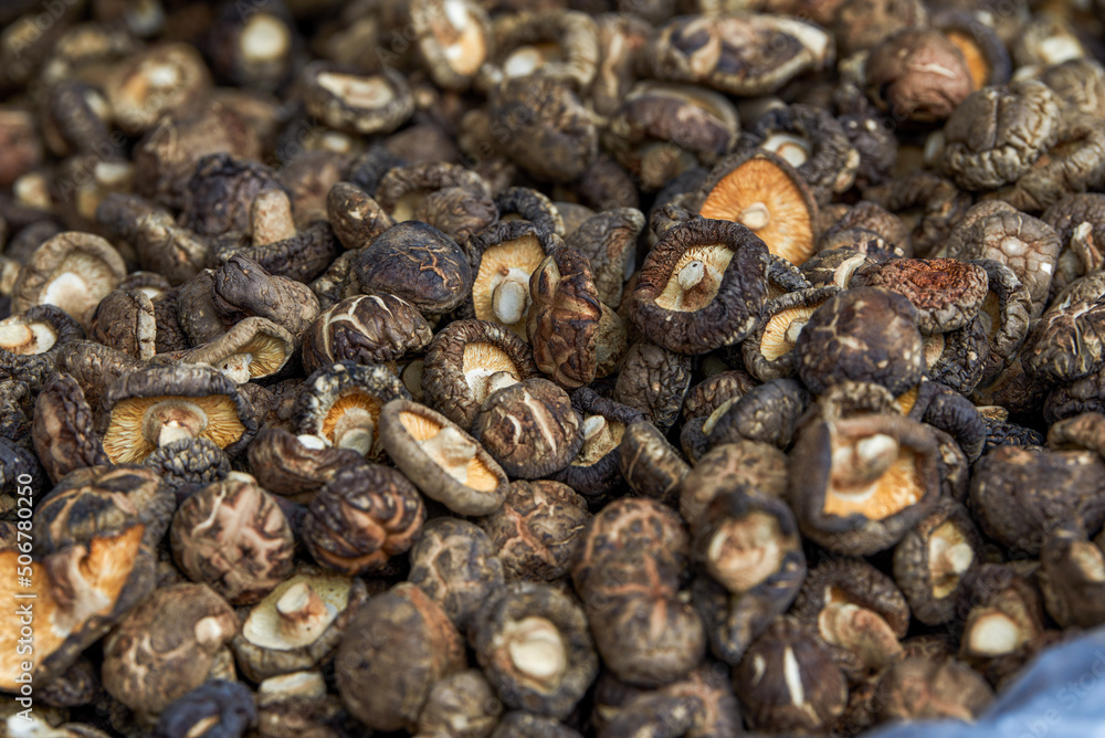Bunch of fragrant dried shiitake mushrooms close-up Bunch of fragrant dried shiitake mushrooms close-up