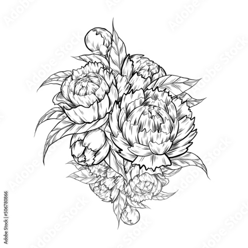 Vector sketch illustration of peony flowers with foliage. Contour ink Image of natural floral bouquet with hatching isolated from background.