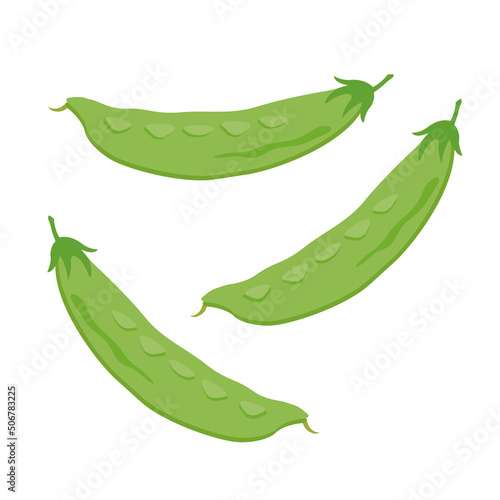 野菜_きぬさや
