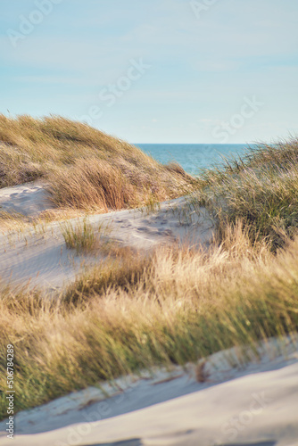 Dunes at danish North sea coast in summer sunlight. High quality photo