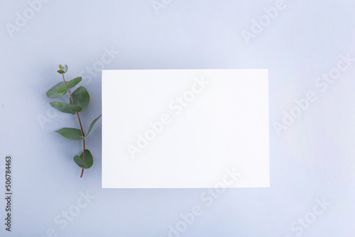 Template paper with green plant shadow on pastel beige background , great design for any purposes. Abstract background. Banner template. Advertising 