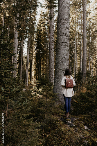 Hiking in the woods. A woman is standing in the forest, carrying leather backpack and watching the tall trees. Autumn activity in Slovenia, Europe. Pinewood trees, sunlight.  © Moodlia