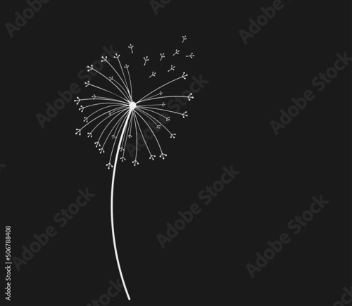 Hand drawn white dandelion, dandelion with flying seeds in doodle style. Vector illustration for fabric, print, card design or baby clothings.