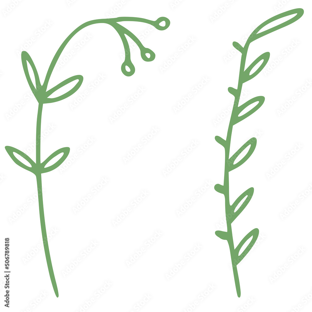 Fototapeta premium little greem leaves and flowers