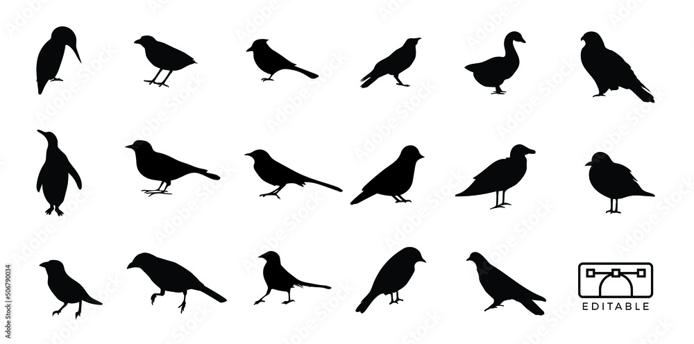 Obraz premium Birds Silhouette Set Vector 