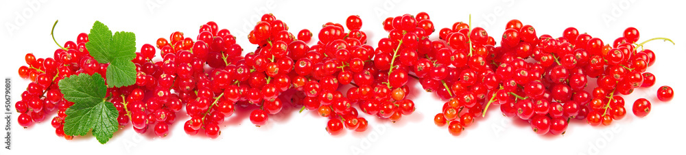 Red Currants - Berries Panorama with Leaves isolated on white Background Red Currants - Berries Panorama with Leaves isolated on white Background