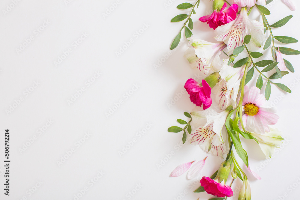beautiful pink and white flowers on white background beautiful pink and white flowers on white background