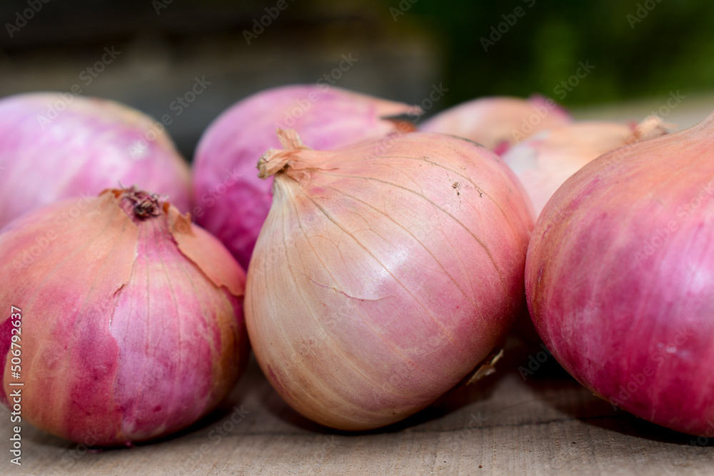 Obraz premium Fresh red onions on rustic wood background