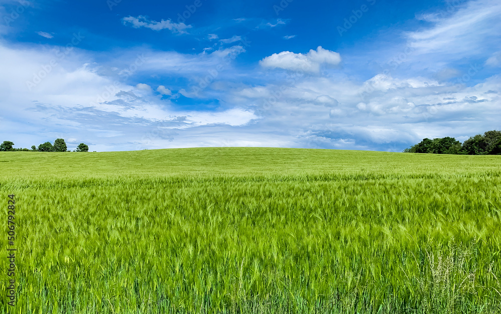 Beautiful landscape. 
Green grass. 
Rain clouds.