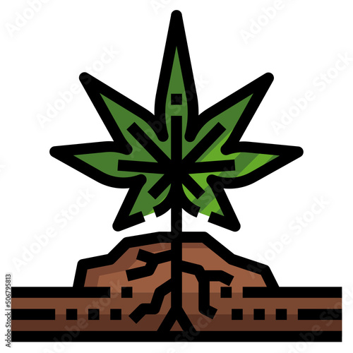 plant