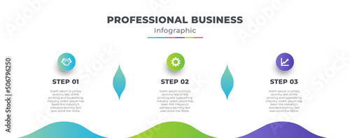 Professional Business Infographic Template