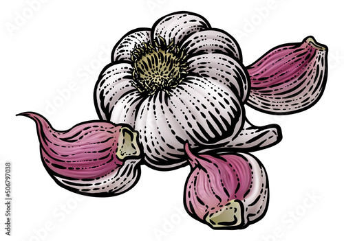 Garlic Vegetable Vintage Wo...
