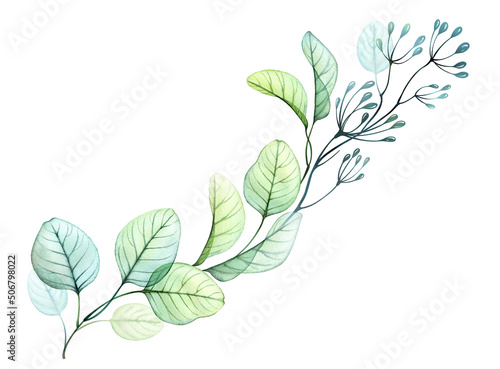 Fototapeta Naklejka Na Ścianę i Meble -  Watercolor Eucalyptus branch. Long branches in a line isolated on white .Hand drawn botanical illustration. Abstract transparent floral design element