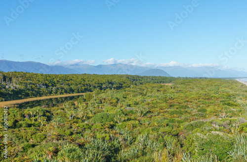 Scenic west coast view over natural wetland vegetation at Ship Creek