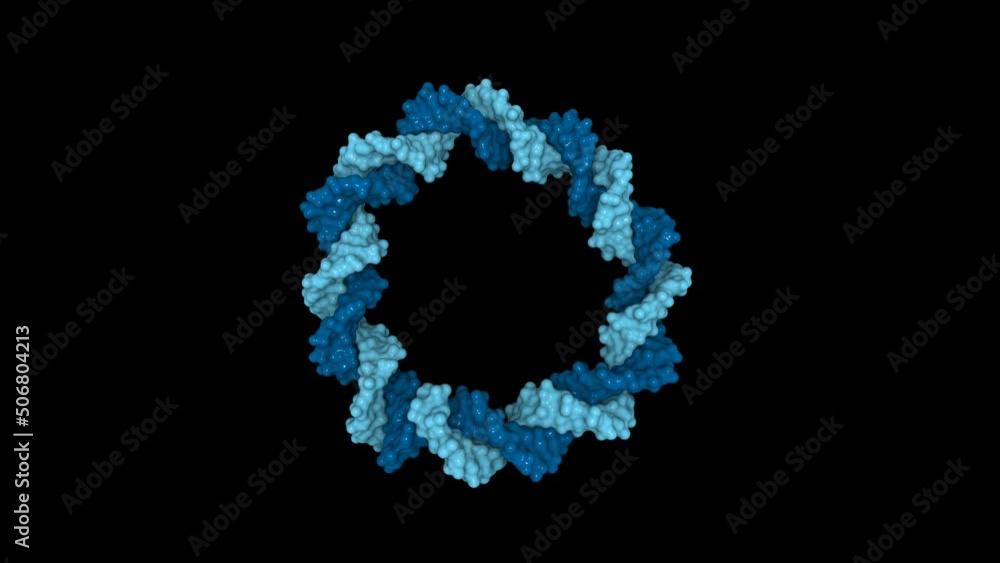 Spinning circular DNA fragment. 3D rendering based on real molecular structure of DNA double helix. Spinning circular DNA fragment. 3D rendering based on real molecular structure of DNA double helix.