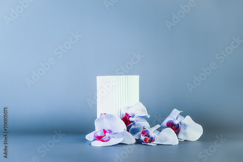 White geometric shape podium for product display on blue background with orchid flowers. Round stage, stand for product promotion in minimal style. Mockup with copy space. Selective focus. © okrasiuk