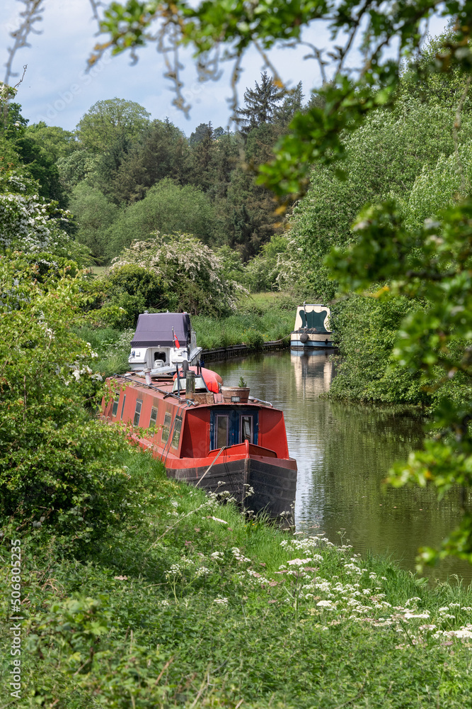 A canal scene, looking through the foliage at three narrow boats moored on the side of a canal A canal scene, looking through the foliage at three narrow boats moored on the side of a canal