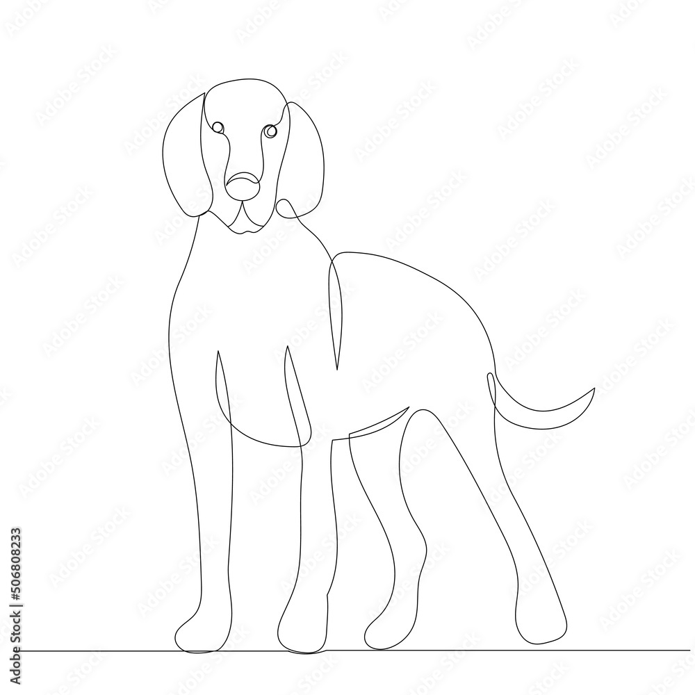 Obraz premium dog drawing in one continuous line, isolated, vector