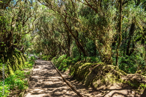 View on Tenerife island from Anaga Rural Park road.