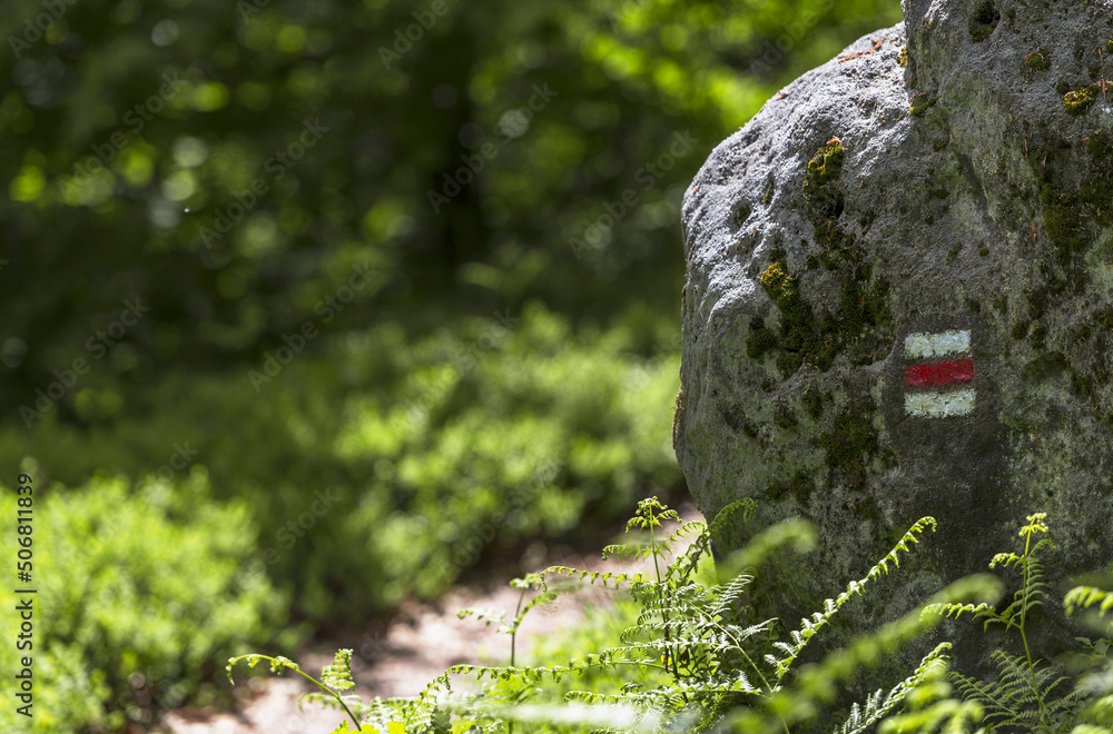 Beautiful view of the landscape of Bohemian Switzerland. The photo shows meadows, forests and especially the rocks that protrude between the trees in the photo. The rock is marked with a tourist sign.