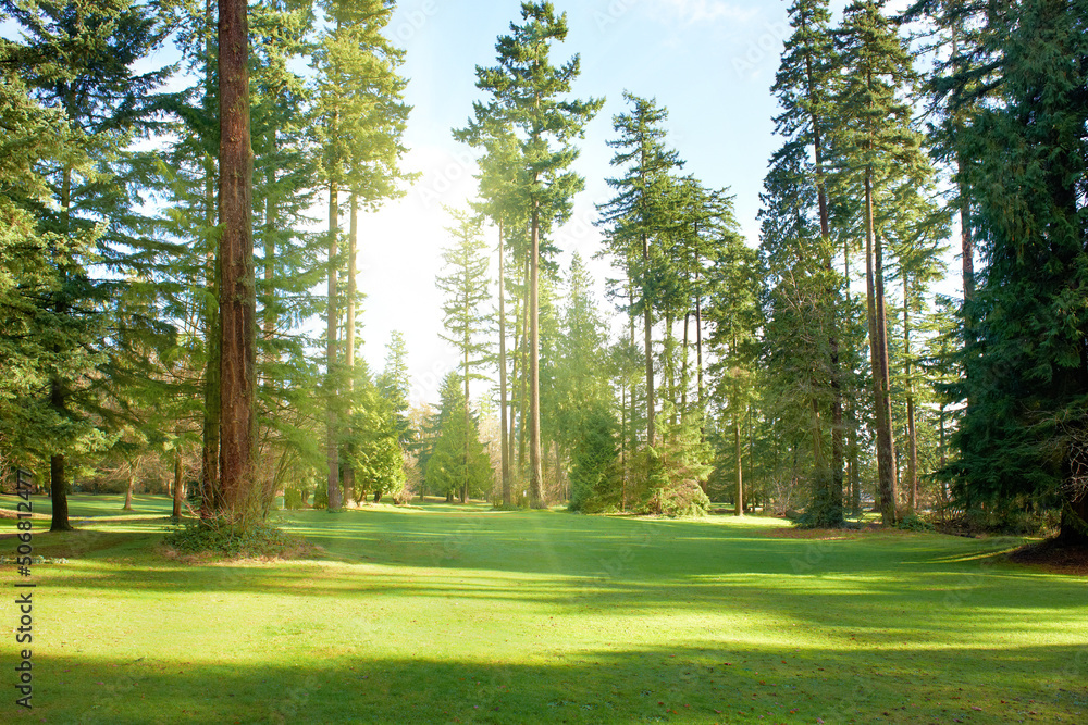 Fototapeta premium Green park