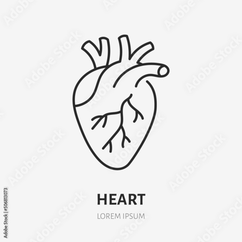 Heart doodle line icon. Vector thin outline illustration of human internal organ. Black color linear sign for cardiovascular system