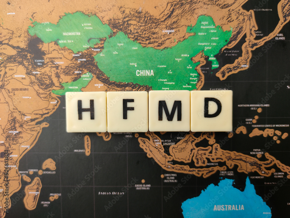 Top view toys word with the word HFMD on a world map background.