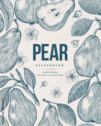 Background with pears in engraving style. Dessert fruits with twigs and flowers. Design element for markets, shops, cafes, restaurants and packaging. Vintage botanical illustration.