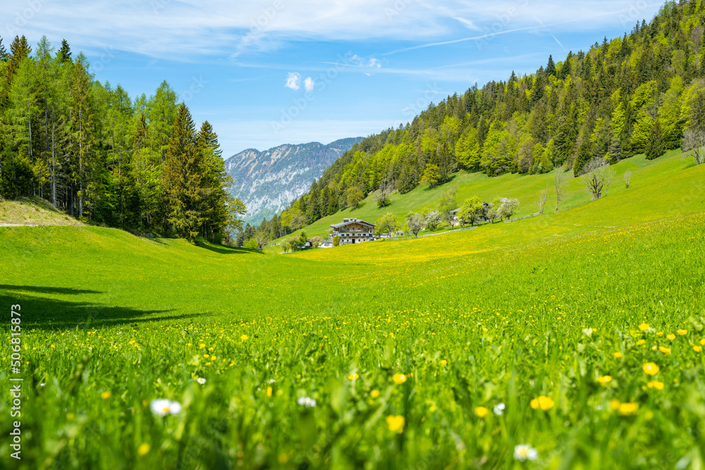 Idyllic spring landscape in Scheffau, Hinterseiner See, Tyrol, Austria, Europe