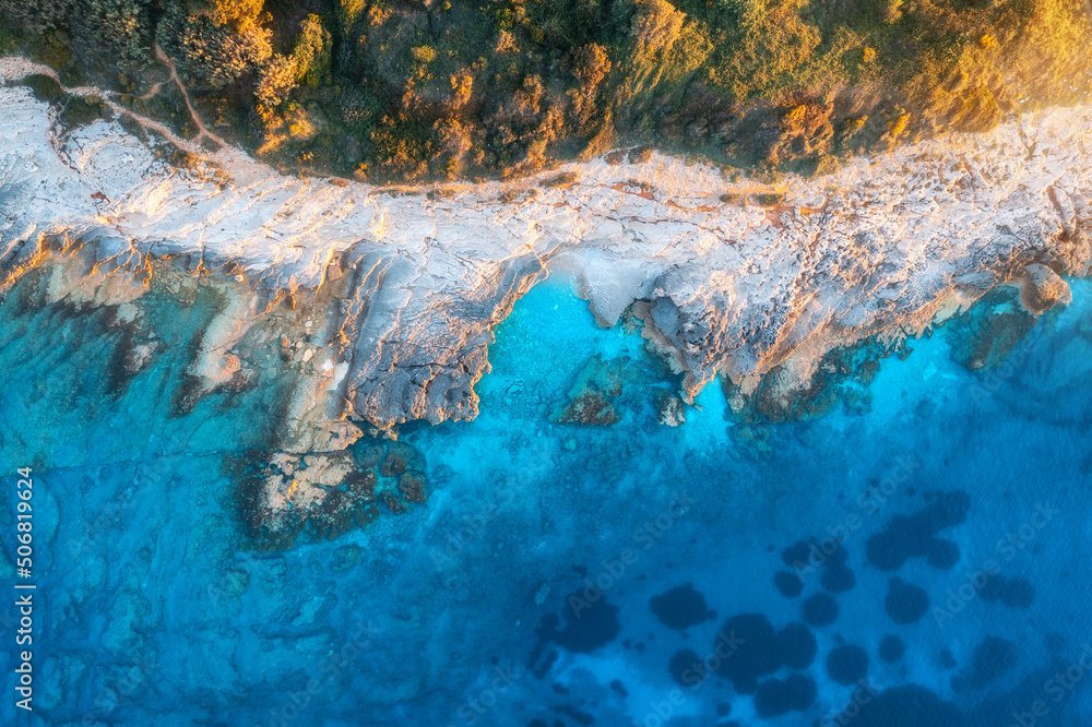 Aerial view of blue sea, rocks in clear water, beach, green trees at sunset in summer. Adriatic sea, Kamenjak, Croatia. Colorful landscape with rocky sea coast, stones in azure water, forest. Top view
