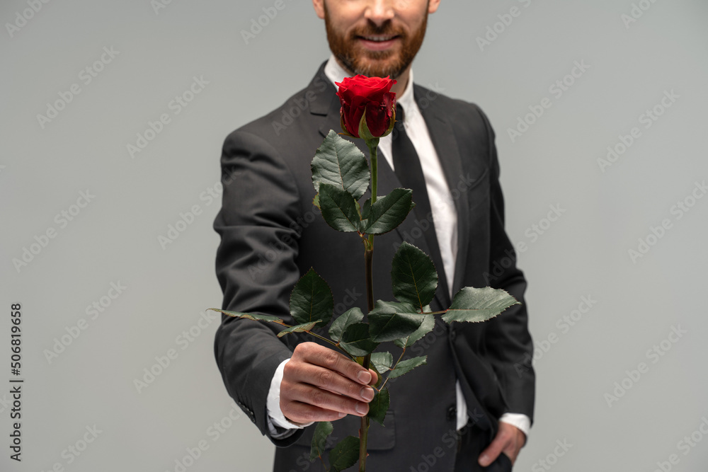Handsome adult businessman with red rose, stretching it to the camera isolated on grey background. Gentleman concept Handsome adult businessman with red rose, stretching it to the camera isolated on grey background. Gentleman concept