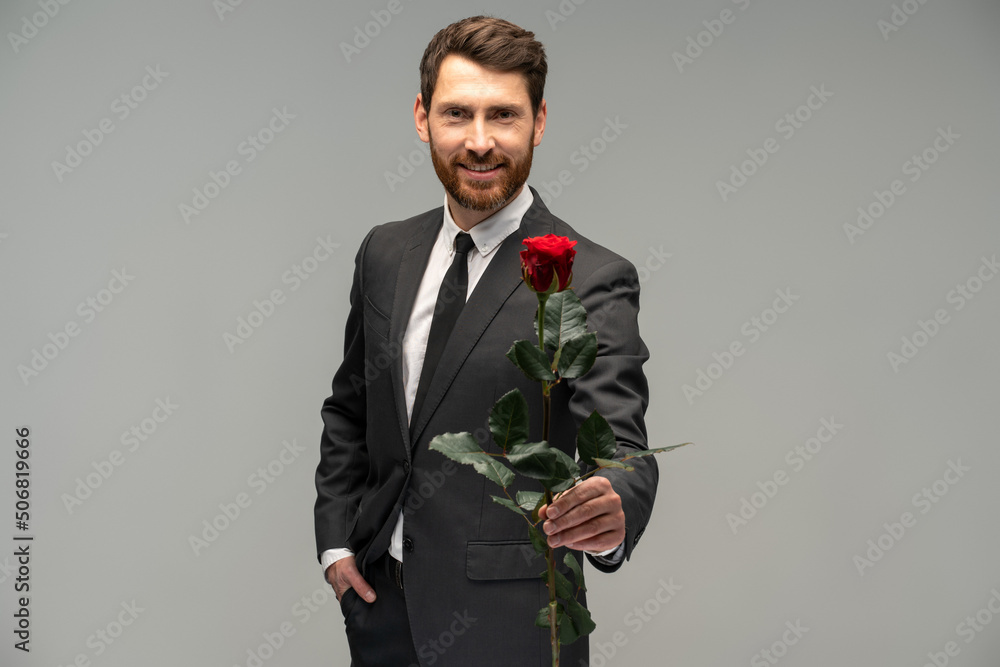 Waist up portrait view of the caucasian handsome man hold the red rose with love on grey background. Gentleman concept Waist up portrait view of the caucasian handsome man hold the red rose with love on grey background. Gentleman concept