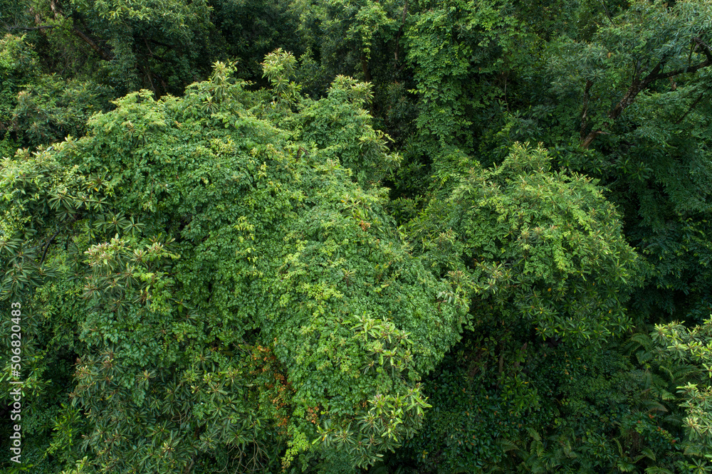Aerial view of beautiful forest mountain landscape
