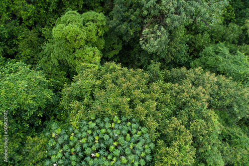 Aerial view of beautiful forest mountain landscape