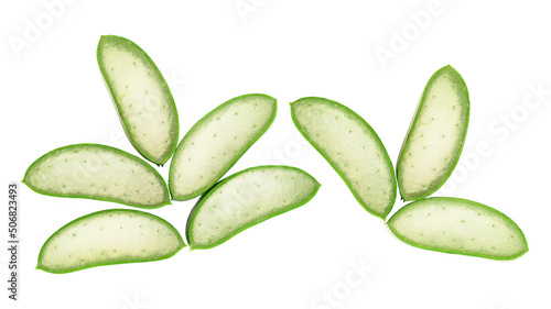 Aloe vera tree isolated on white background with clipping path.